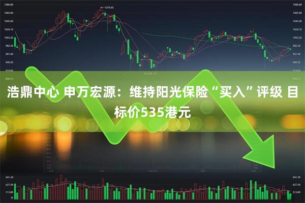 浩鼎中心 申万宏源：维持阳光保险“买入”评级 目标价535港元