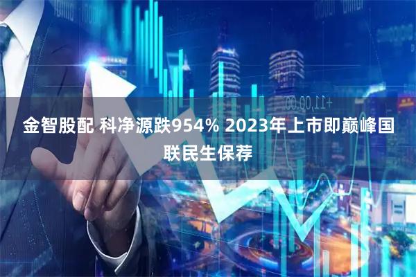 金智股配 科净源跌954% 2023年上市即巅峰国联民生保荐