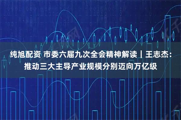 纯旭配资 市委六届九次全会精神解读｜王志杰：推动三大主导产业规模分别迈向万亿级